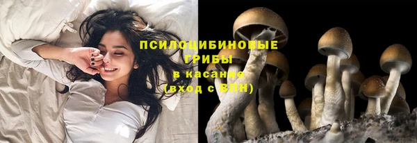 крисы Козловка