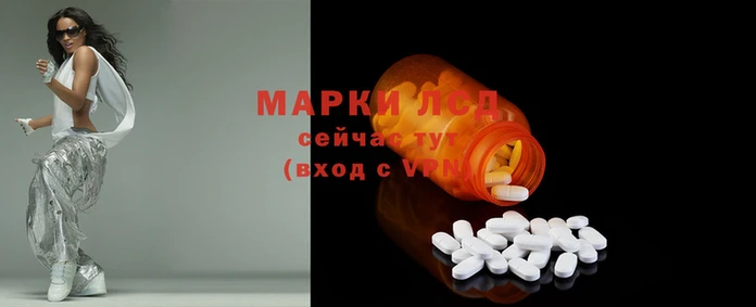мяу мяу мука Коряжма