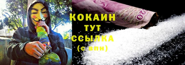 ECSTASY Костерёво