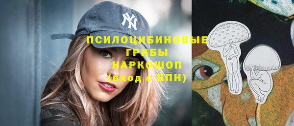 ECSTASY Костерёво